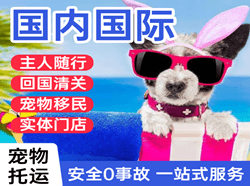 襄阳刘集空运公司国际宠物托运 【国